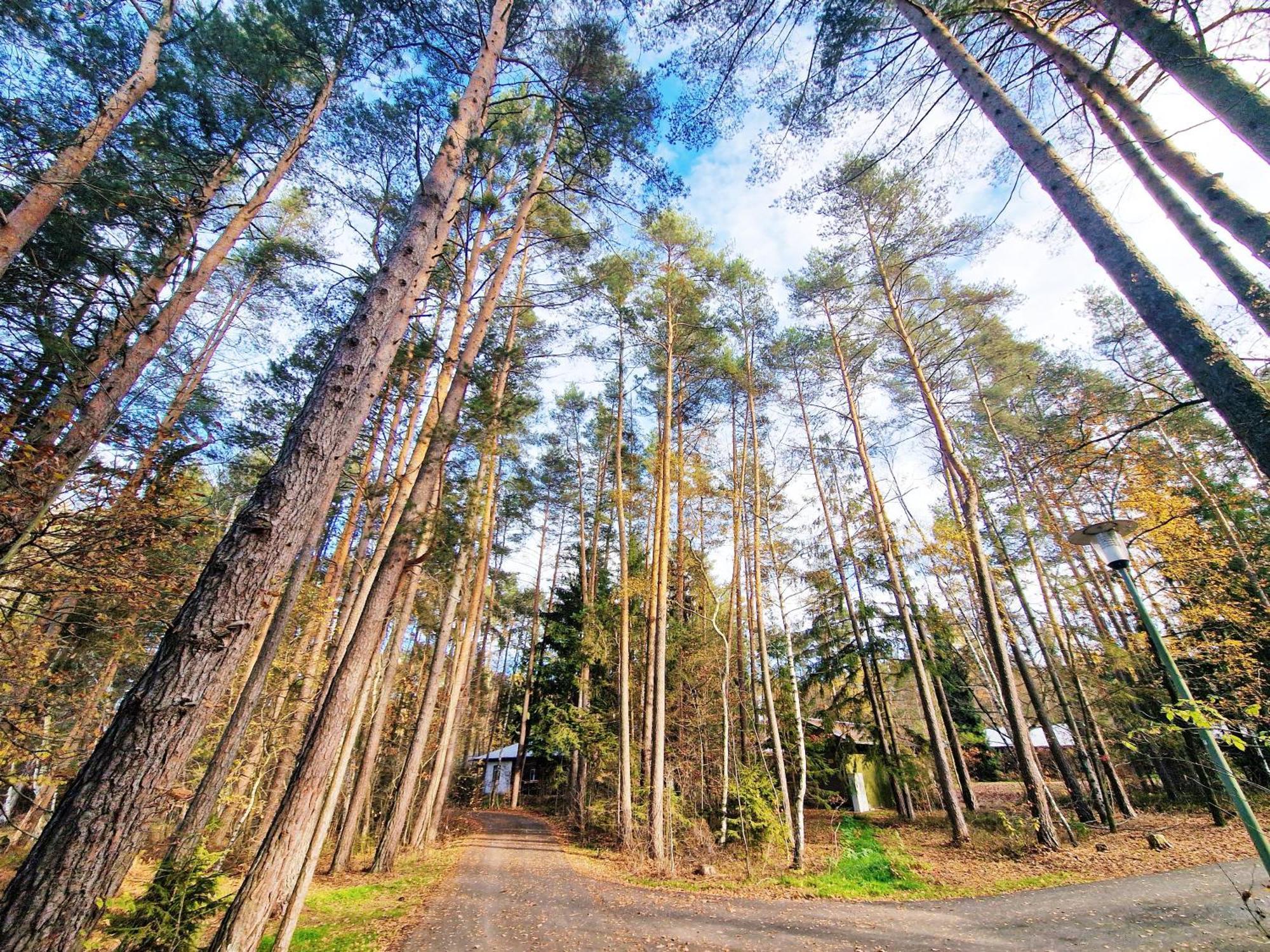 Bungalow Direkt Am See, Mit Eigenem Boot Roding Exterior foto