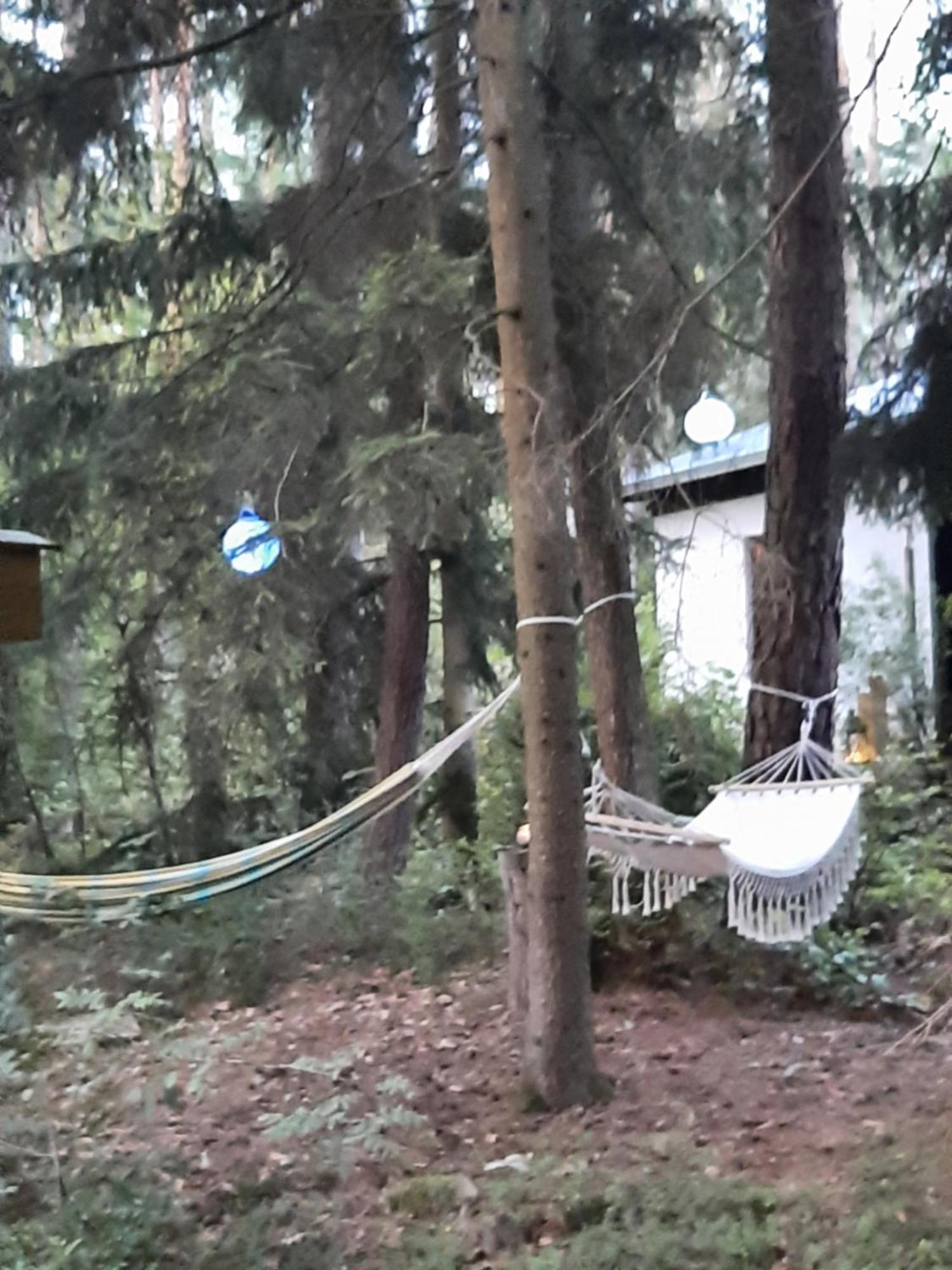 Bungalow Direkt Am See, Mit Eigenem Boot Roding Exterior foto